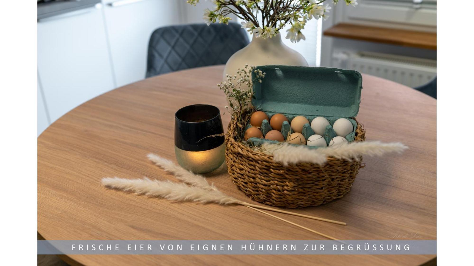 Leinetal - Bester Schlafkomfort In Hochwertiger Hotelbettwaesche, 3 - Grosse Kueche, Duschbad & Parkplatz Apartment Northeim
